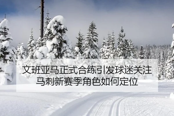 文班亚马正式合练引发球迷关注 马刺新赛季角色如何定位